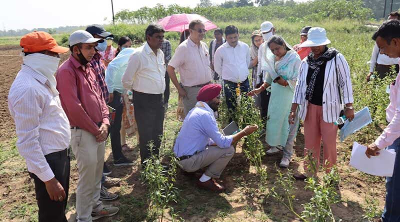 कृषि विवि में एनबीपीजीआर टीम ने किया अनुसंधान कार्यो का निरीक्षण