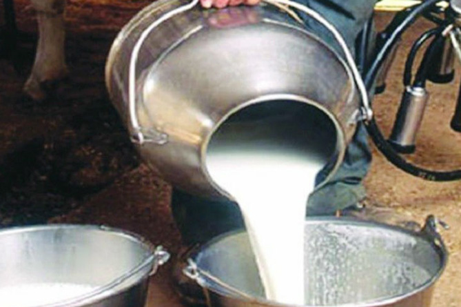 दुग्ध संघ ने दूध के क्रय भाव में 20 पैसे प्रति फैट की वृद्धि की