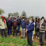 कलेक्टर ने भिंड जिले के ओलावृष्टि से प्रभावित ग्रामों में पहुँच क्षतिग्रस्त फसलों का लिया जायज़ा