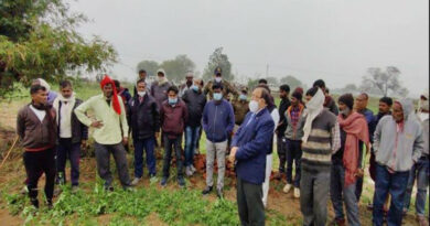 कलेक्टर ने भिंड जिले के ओलावृष्टि से प्रभावित ग्रामों में पहुँच क्षतिग्रस्त फसलों का लिया जायज़ा