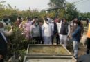 5 एकड़ के बगीचे से मिले 13 लाख रुपये के अमरूद