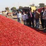 मिर्च निर्यात की संभावनाएं तलाशने आया मसाला बोर्ड