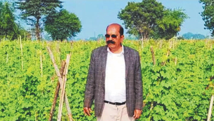 म.प्र. के किसान ने 8 करोड़ रुपये का टमाटर बेचा, इंटरव्यू लेने उसके घर पहुंचे कृषि मंत्री