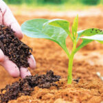 जैविक खेती करने वाले किसानों के लिए जैविक पोर्टल