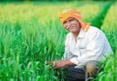 Rajasthan: किसानों को मिली 114 लाख की सहायता : श्री मीणा