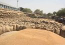 राजस्थान में कृषि मण्डियों को सुदृढ़ करने के लिए अहम फैसला