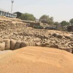 मध्यप्रदेश के किसानों के लिए खुशखबरी! गेहूं खरीदी पर 125 रुपये प्रति क्विंटल बोनस देगी सरकार