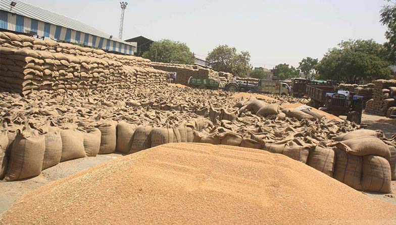 सरकार ने स्पष्ट किया कि गेहूं निर्यात पर प्रतिबंध से किसानों को कोई नुकसान नहीं 