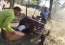 ग्रामीण प्रतिभा ने बनाई भूसा भरने की मशीन