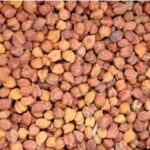 किसान प्रमाणित बीज वितरण अनुदान राशि का लाभ उठावें