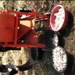 आधुनिक लहसुन कटाई मशीन