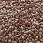 केंद्र सरकार ने व्यापारियों को मसूर दाल के भंडार की नियमित जानकारी देने के लिए जारी किया परामर्श