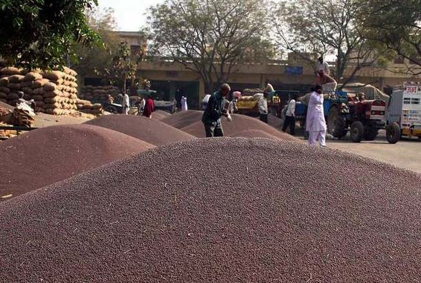 राजस्थान में फसलों के नजदीक क्षेत्र में विक्रय की बेहतर मिलेगी सुविधा : कृषि मंत्री