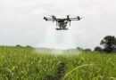 खेतों में ड्रोन उपयोग से पहले किसान इन बातों का ध्यान रखें