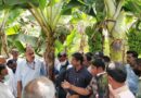 अनंतपुर केला कलस्‍टर से लगभग 14,000 केला किसानों को लाभ होगा