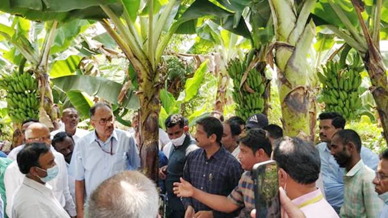 अनंतपुर केला कलस्‍टर से लगभग 14,000 केला किसानों को लाभ होगा