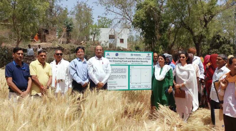 उदयपुर में फसलों में जिंक की कमी दूर करने के लिए किसानों के लिए ग्लोबल पहल