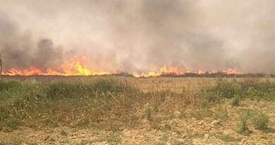 कृषि विभाग की किसानों को सलाह : किसान नरवाई नहीं जलाएं, खेत का उपजाऊपन नष्ट होता है
