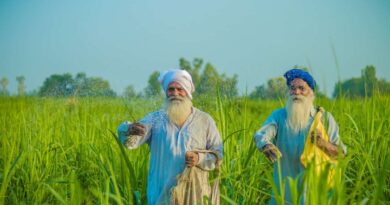 पंजाब किसानों को मिलेगी 2000 करोड़ रुपए से अधिक राशि