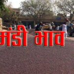 सरसों के मंडी रेट (26 जुलाई 2022 के अनुसार)