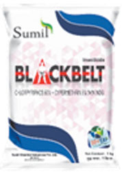 Black-Belt1