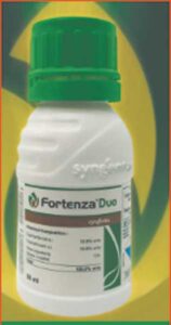 Fortenza-Duo1
