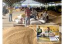 सौदा पत्रक एप के जरिए कृषि मंडियों की आवक और किसानों की आय बढ़ी