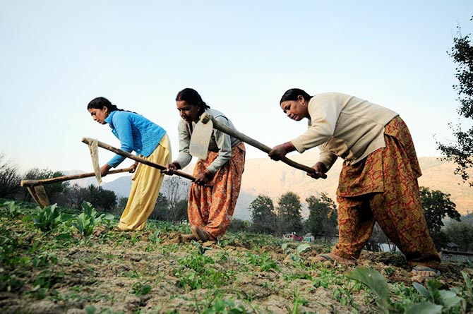लघु एवं सीमांत महिला कृषकों को निःशुल्क मिलेंगे मोठ बीज के मिनीकिट्स