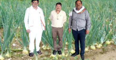 हर्ष ब्रांड के प्याज बीज, किसानों को दे खुशियां