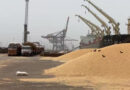 गेहूं निर्यात पर भारत दो कदम आगे, चार कदम पीछे