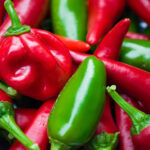 नुनहेम्स (Nunhems) कंपनी के डुअल (ग्रीन फ्रेश, रेड ड्राई) तेज मिर्च की किस्म देवनूर डीलक्स (Devnur Delux)