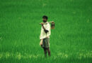भारत में कृषि की चुनौतियाँ अनेक