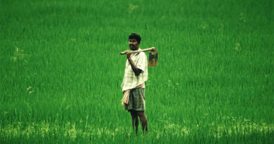 राजगढ़ जिले के किसान फसल नुकसान की जानकारी दें