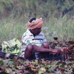 फसल की जानकारी अब एमपी किसान एप पर दर्ज कर सकेंगे किसान