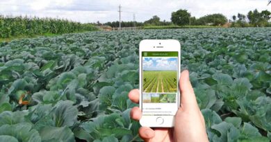 मध्य प्रदेश के किसान आज से एमपी किसान (MP KISAN) एप पर अपनी फसल की जानकारी दर्ज करें