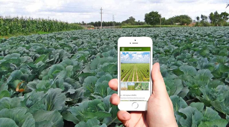 किसान खुद कर सकेंगे मोबाइल एप से अपनी फसल की गिरदावरी