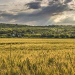 मध्यप्रदेश कृषि विभाग में फिर उठी विभागीय संचालक की मांग