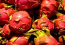 भारत में विदेशी फलों का रकबा 28 लाख हेक्टेयर से अधिक; उत्पादन में मध्य प्रदेश आगे
