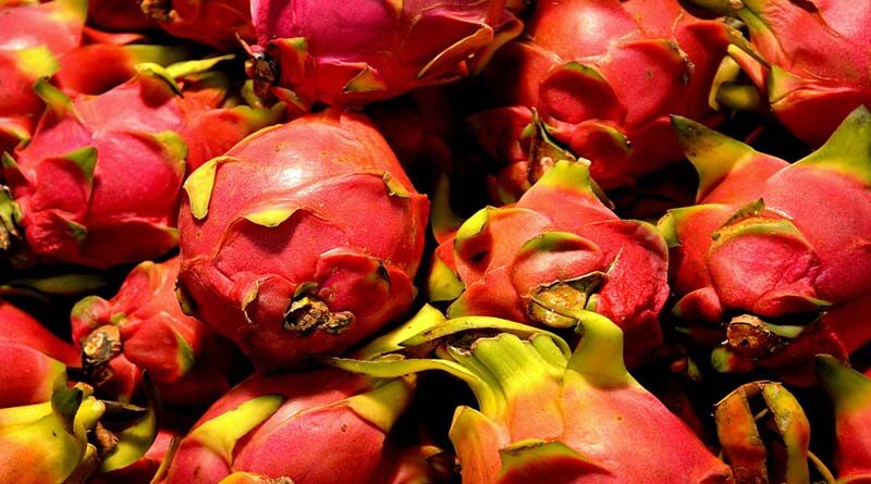 भारत में विदेशी फलों का रकबा 28 लाख हेक्टेयर से अधिक; उत्पादन में मध्य प्रदेश आगे 