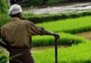 मध्य प्रदेश में प्राकृतिक खेती के लिए ऑनलाइन पंजीयन करें किसान