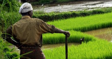 उज्जैन जिले के किसानों की गिरदावरी पर दावा - आपत्ति 3 फरवरी तक