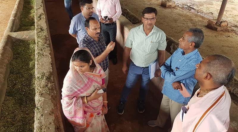 राजस्थान  सरकार गायों के इलाज के लिए कोई कमी नहीं आने देगी - खाद्य एवं नागरिक आपूर्ति मंत्री