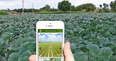 किसान अपनी फसल की जानकारी “एमपी किसान एप’’ पर 15 अगस्त तक करें दर्ज