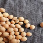 समस्या - सोयाबीन के बीजों में बुआई पूर्व कई प्रकार के बीजोपचार के रोग होते हैं कौन सा कब करना होगा बतायें।