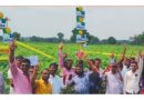 निमाड़ क्षेत्र में रासी सीड्स के कपास फसल प्रदर्शन किसानों ने देखे