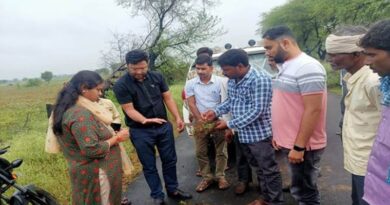 अशोकनगर जिले में वर्षा प्रभावित फसलों का कलेक्‍टर ने किया निरीक्षण