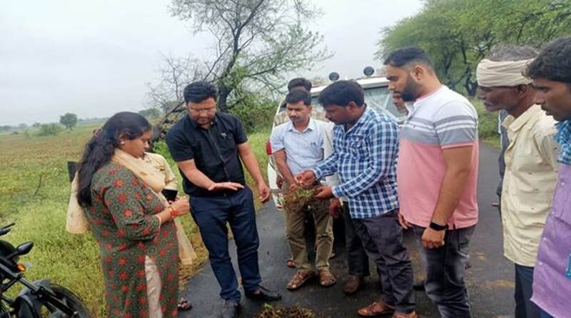 अशोकनगर जिले में वर्षा प्रभावित फसलों का कलेक्‍टर ने किया निरीक्षण