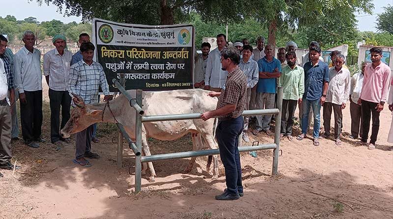 राजस्थान के झुन्झुनूं में पशुओं के लम्पी त्वचा रोग पर जागरूकता कार्यक्रम