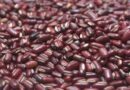 उत्तराखंड (पहाड़ी) में खरीफ में उगाने के लिए उपयुक्त राइस बीन की किस्में