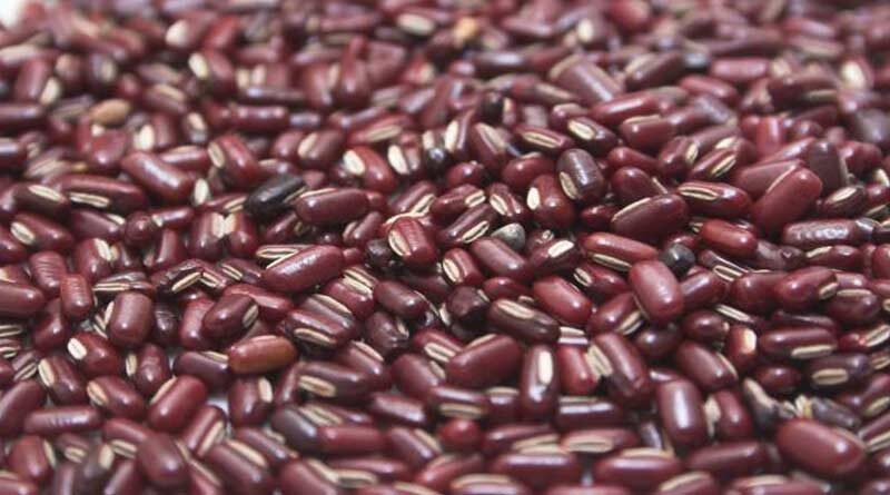 उत्तराखंड (पहाड़ी) में खरीफ में उगाने के लिए उपयुक्त राइस बीन की किस्में